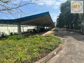 BÁN NHÀ XƯỞNG – KCN MỸ XUÂN, BR-VT – 21.439m²