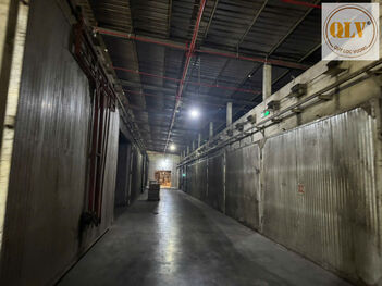 CHO THUÊ XƯỞNG GỖ PHÚ GIÁO, BÌNH DƯƠNG 10.000m²