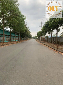 Bán nhà xưởng CCN Tân Thành, BRVT 1.728m²