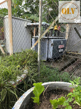 Cho thuê ĐẤT & NHÀ XƯỞNG Hớn Quản, Bình Phước 5.000m²