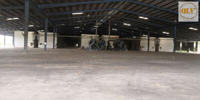 Cho thuê nhà xưởng chế biến gỗ Bắc Tân Uyên, Bình Dương 6.875m²