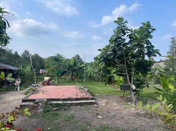 vườn sầu riêng 130 gốc đang ra trái, Lộ 4m Dt 5400m2 có 300m2 thổ cư , nhơn ái phong điền