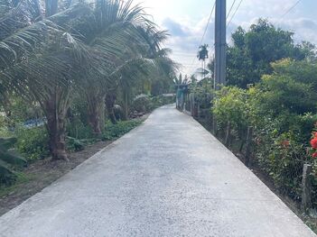 vườn sầu riêng 130 gốc đang ra trái, Lộ 4m Dt 5400m2 có 300m2 thổ cư , nhơn ái phong điền