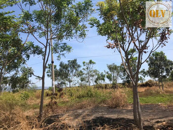 Bán đất KCN Cái Mép, Bà Rịa, Vũng Tàu 30.000m²