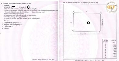 Bán đất trống khu công nghệ cao Xuân Đường, Cẩm Mỹ, Đồng Nai, 117.160m²