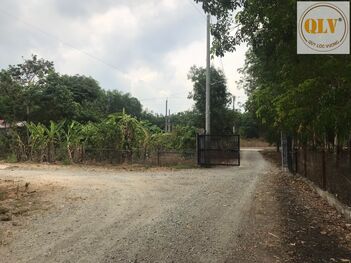 Bán / Cho thuê nhà xưởng khuôn viên riêng Lai Uyên, Bàu Bàng, BD, 6.955m²