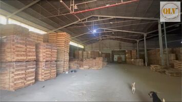 BÁN NHÀ XƯỞNG SẢN XUẤT, CHẾ BIẾN GỖ – TẠI CHƠN THÀNH, BÌNH PHƯỚC – 11.954m²