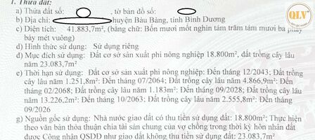 CHO THUÊ / BÁN NHÀ XƯỞNG TẠI BÀU BÀNG, BÌNH DƯƠNG – 41.883m²