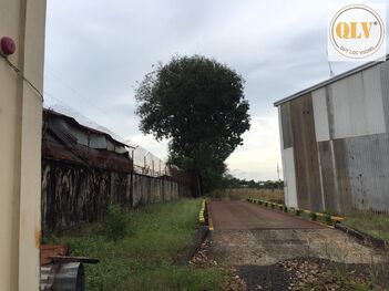 Cho thuê xưởng – TP. Đồng Xoài, Bình Phước – 6.600m²