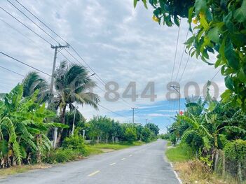BÁN ĐẤT 318M² (có thổ cư) MT LỘ HẬU TÂN THẠNH TÂY – 5.85X56M – 2 TỶ 850 TL