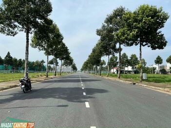 STella giỏ hàng nội bộ chiết khấu đến 12%